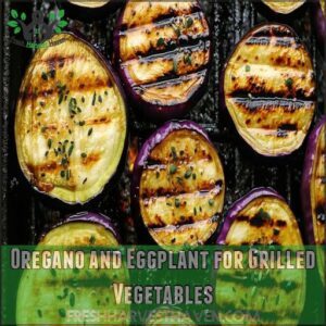 Oregano and Eggplant for Grilled Vegetables