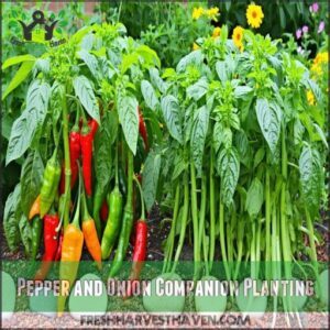 Pepper and Onion Companion Planting