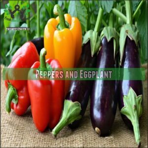 Peppers and Eggplant