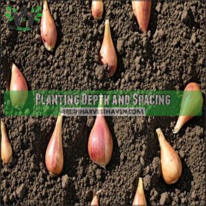 Planting Depth and Spacing