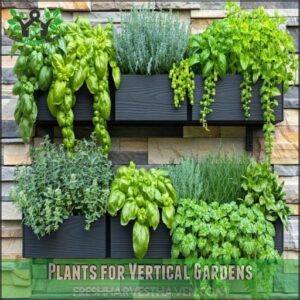 Plants for Vertical Gardens