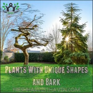 Plants With Unique Shapes and Bark