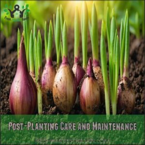 Post-Planting Care and Maintenance