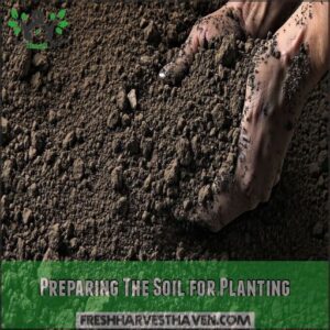 Preparing The Soil for Planting