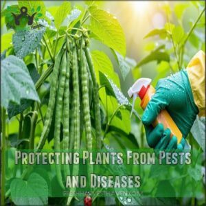 Protecting Plants From Pests and Diseases