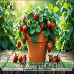 Providing Sunlight Water