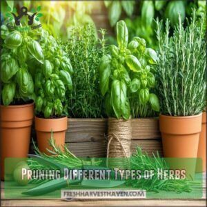 Pruning Different Types of Herbs