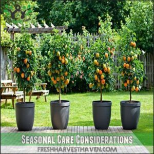 Seasonal Care Considerations