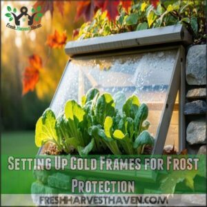 Setting Up Cold Frames for Frost Protection