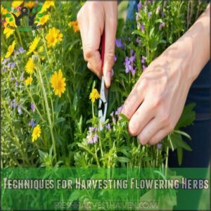 Techniques for Harvesting Flowering Herbs