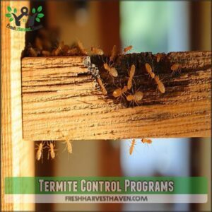 Termite Control Programs