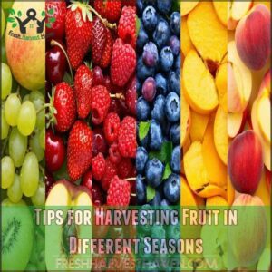 Tips for Harvesting Fruit in Different Seasons