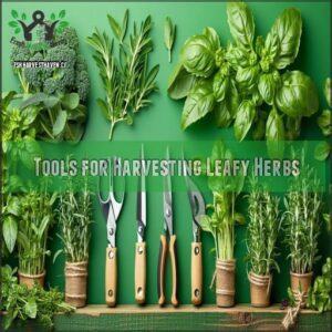 Tools for Harvesting Leafy Herbs