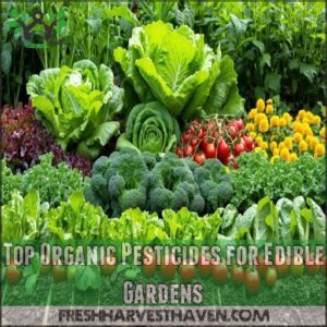 Top Organic Pesticides for Edible Gardens