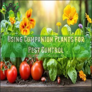 Using Companion Plants for Pest Control