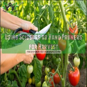 Using Scissors or Hand Pruners for Harvest