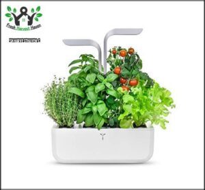 Veritable Smart Indoor Garden, Artic