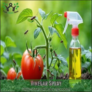 Vinegar Spray