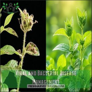 Viral and Bacterial Disease Management