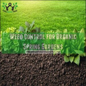 Weed Control for Organic Spring Gardens