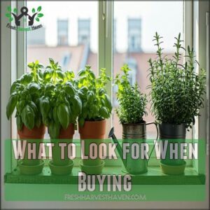 What to Look for When Buying