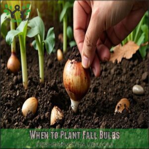 When to Plant Fall Bulbs