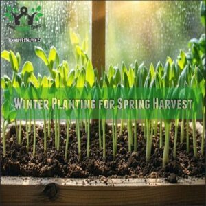 Winter Planting for Spring Harvest