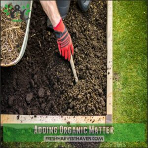 Adding Organic Matter