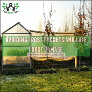 Avoiding Frost Pockets and Late Frost Damage