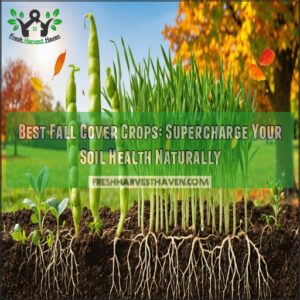 best fall cover crops for healthy soil