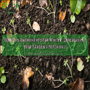 best soil amendments for winter gardening