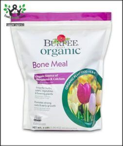 Burpee Bone Meal Fertilizer | B078GZ4P2B