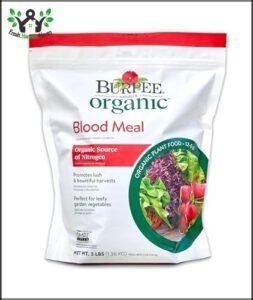 Burpee Organic Blood Meal Fertilizer B078GV16VY