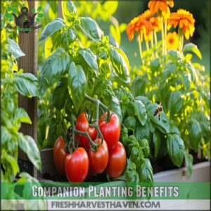 Companion Planting Benefits