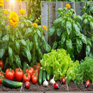 Companion Planting for Pest Deterrence