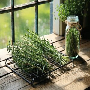 Drying Herbs Easily