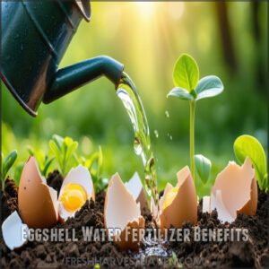 Eggshell Water Fertilizer Benefits