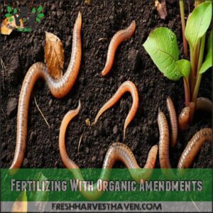 Fertilizing With Organic Amendments