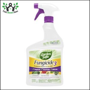 Garden Safe Fungicide 3 32