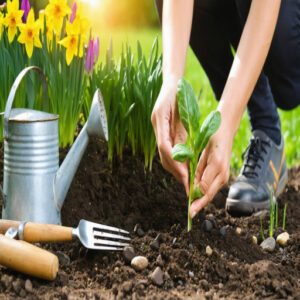 gardening in early spring