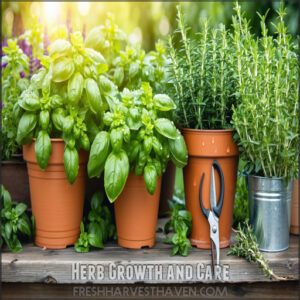 Herb Growth and Care