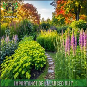 Importance Of Balanced Diet