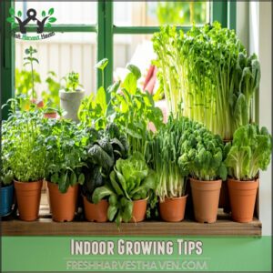 Indoor Growing Tips