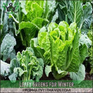 Leafy Greens for Winter