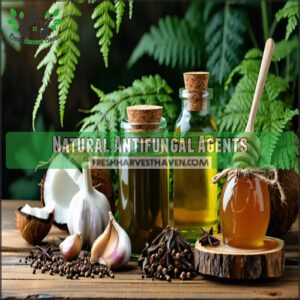 Natural Antifungal Agents