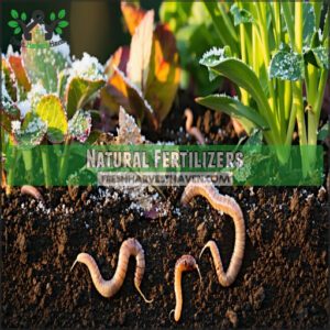 Natural Fertilizers