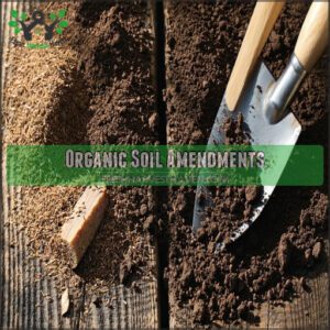 Organic Soil Amendments