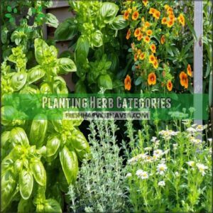 Planting Herb Categories