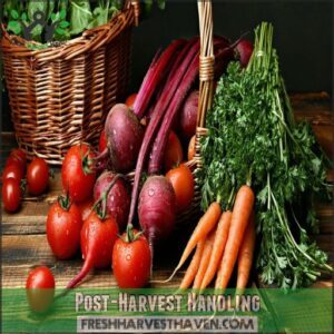 Post-Harvest Handling