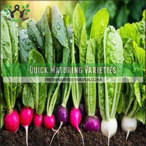 Quick Maturing Varieties